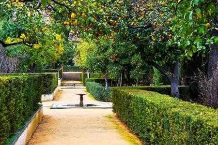 Gocce Villas - Villa Aurelia Una Casa In Collina Massa Lubrense Εξωτερικό φωτογραφία
