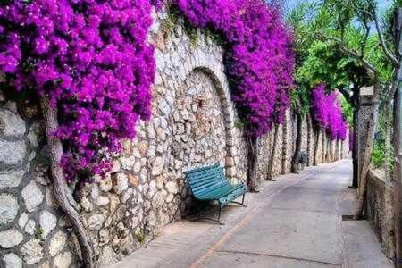 Gocce Villas - Villa Aurelia Una Casa In Collina Massa Lubrense Εξωτερικό φωτογραφία